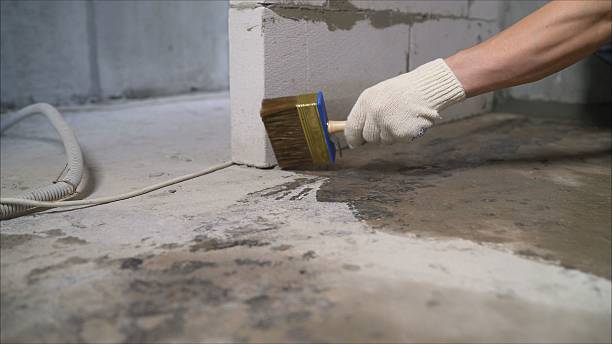 SJ Waterproofing Pros Waterproofing coverage map for Brant, MI and surrounding area